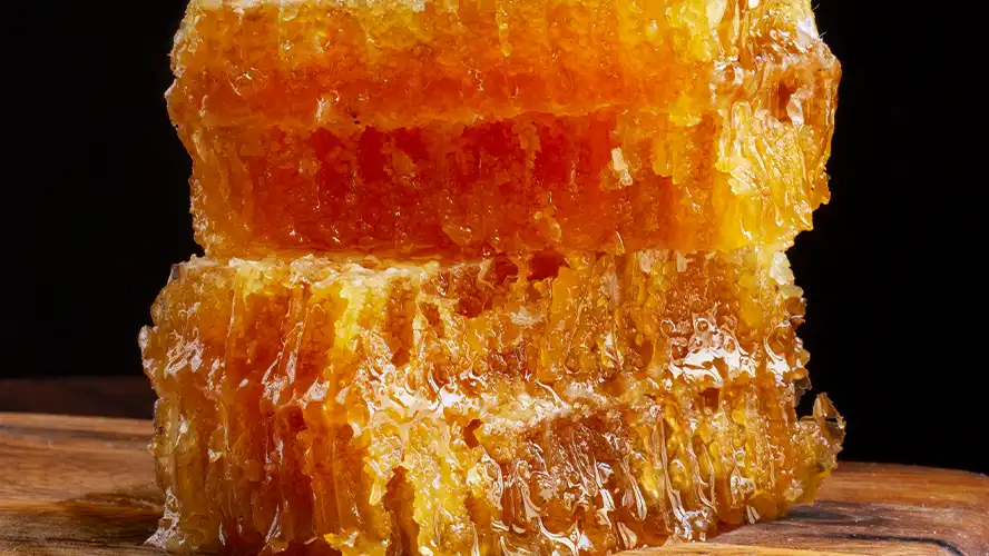 حکیم سیدقائم