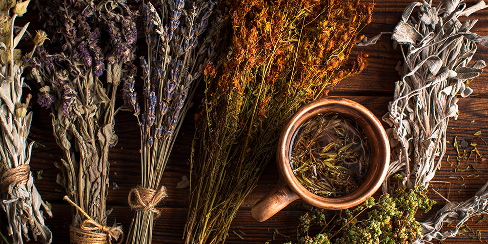 راز جوانی پوست با گیاهان دارویی طبیعی 2