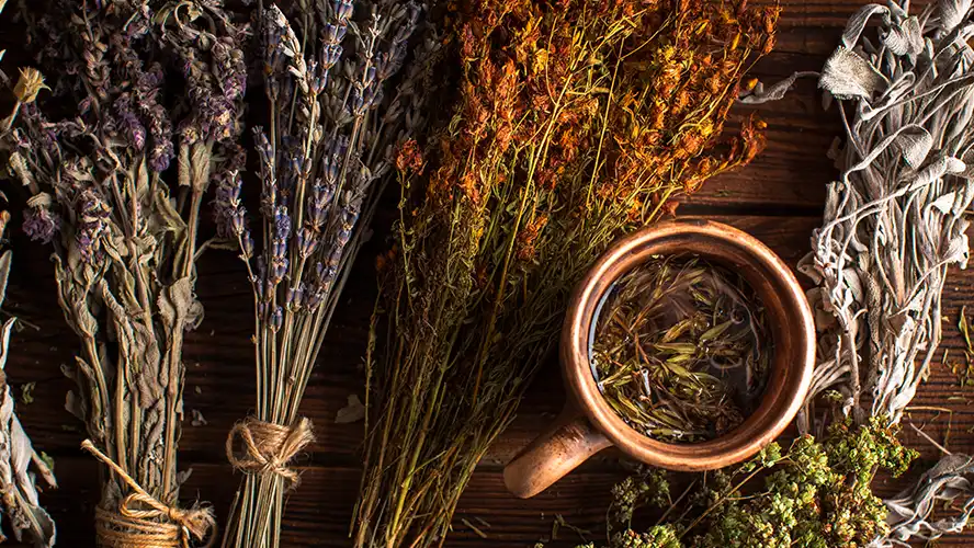 حکیم سیدقائم