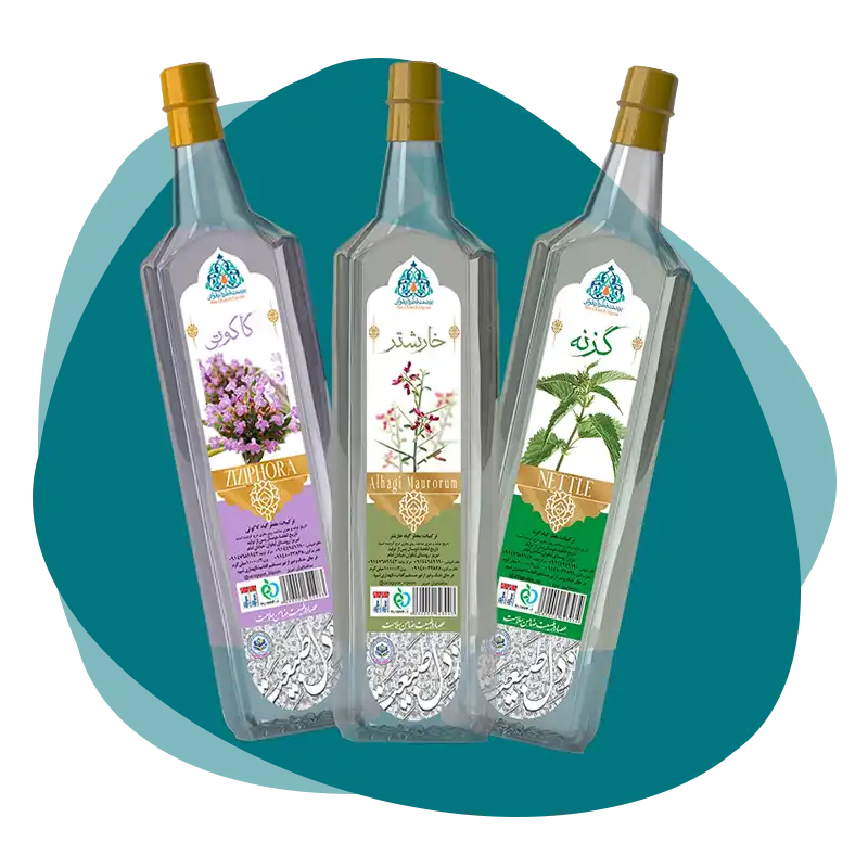 حکیم سیدقائم